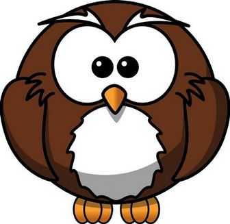 Wiser LTD Owl Logo